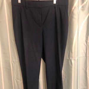 Theory Navy Blue Pant